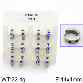 Stainless Steel Earrings  2E4000613bhia-658