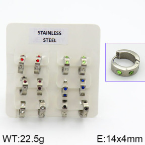 Stainless Steel Earrings  2E4000614ahjb-658