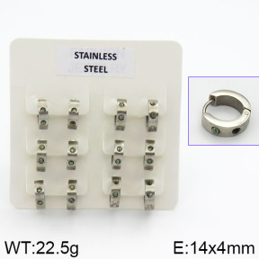 Stainless Steel Earrings  2E4000615ahlv-658