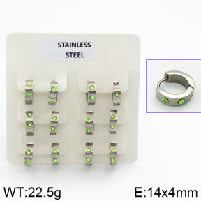 Stainless Steel Earrings  2E4000616ahlv-658