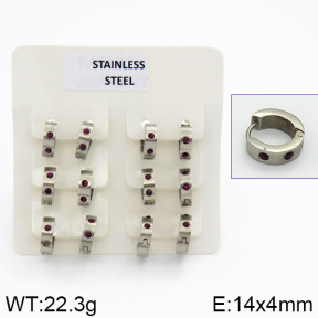 Stainless Steel Earrings  2E4000617ahlv-658