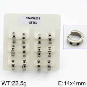 Stainless Steel Earrings  2E4000618ahlv-658