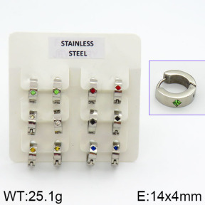 Stainless Steel Earrings  2E4000619ahlv-658