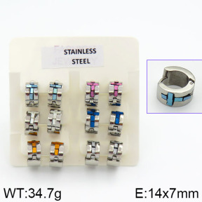 Stainless Steel Earrings  2E4000620aivb-658
