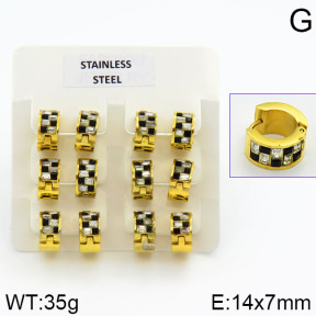 Stainless Steel Earrings  2E4000621vila-658