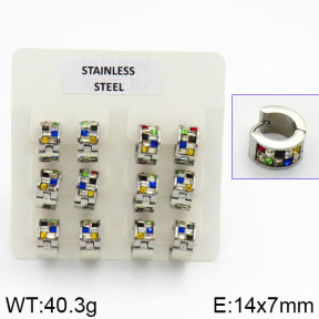 Stainless Steel Earrings  2E4000623aija-658