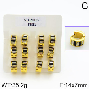 Stainless Steel Earrings  2E4000625vila-658