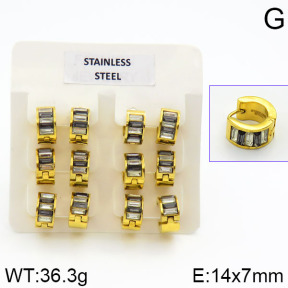 Stainless Steel Earrings  2E4000626vila-658