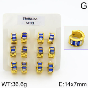 Stainless Steel Earrings  2E4000628vila-658