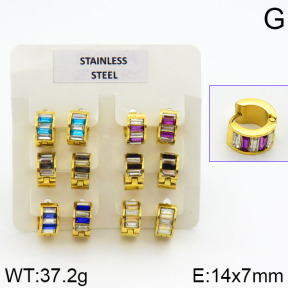 Stainless Steel Earrings  2E4000629vila-658