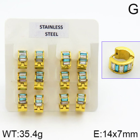 Stainless Steel Earrings  2E4000631vila-658