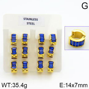 Stainless Steel Earrings  2E4000632vila-658