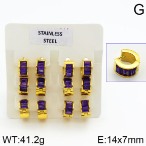 Stainless Steel Earrings  2E4000633vila-658