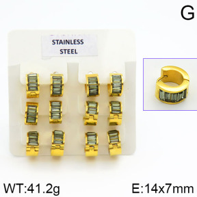 Stainless Steel Earrings  2E4000635vila-658