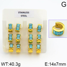 Stainless Steel Earrings  2E4000637vila-658