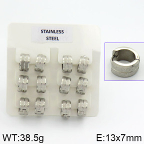 Stainless Steel Earrings  2E5000001aivb-658