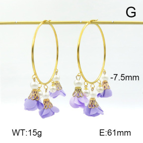 Stainless Steel Earrings  7E3000034ahlv-628