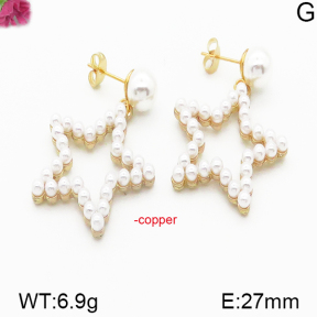 Fashion Copper Earrings  F5E300089vhha-J48