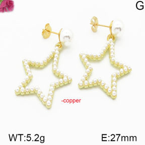 Fashion Copper Earrings  F5E300090vhha-J48