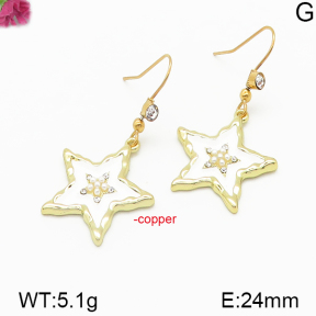 Fashion Copper Earrings  F5E300093bhva-J48