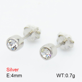 Zircon  Round  925 Silver Earrings  JUSE70108bbnj-925