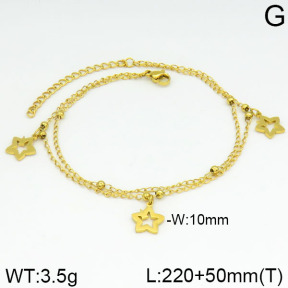 Stainless Steel Anklets  2A9000208vbll-642