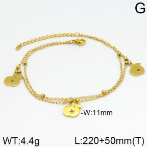 Stainless Steel Anklets  2A9000212vbll-642