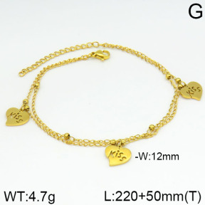 Stainless Steel Anklets  2A9000216vbll-642
