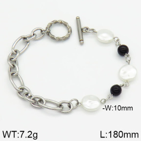 Stainless Steel Bracelet  2B3000329bhva-354