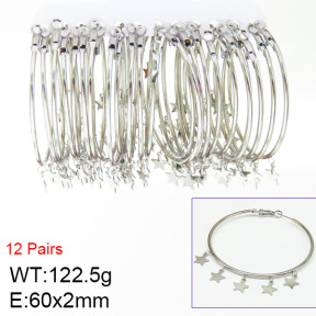 Stainless Steel Earrings  2E2000436hibb-722