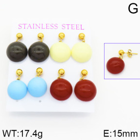 Stainless Steel Earrings  2E3000349aivb-628