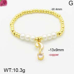 Fashion Copper Bracelet  F5B300561vhha-J111