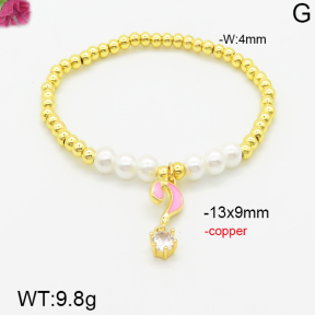 Fashion Copper Bracelet  F5B300573vhha-J111