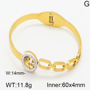 Stainless Steel Bangle  5BA400392abol-685