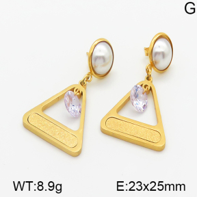 Stainless Steel Earrings  5E3000245baka-614