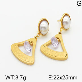 Stainless Steel Earrings  5E3000246baka-614