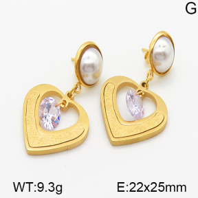 Stainless Steel Earrings  5E3000247baka-614