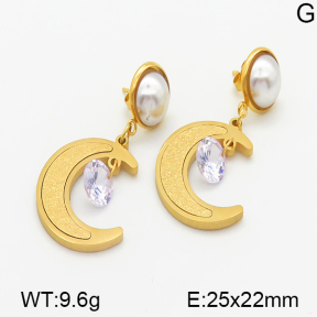 Stainless Steel Earrings  5E3000248baka-614