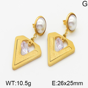 Stainless Steel Earrings  5E3000252baka-614