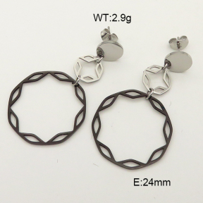 Stainless Steel Earrings  6E21825ablb-369
