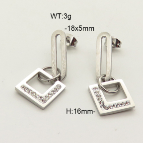 Stainless Steel Earrings  6E41820ablb-369