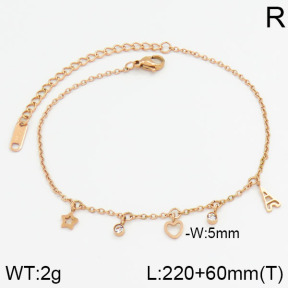 Stainless Steel Anklets  2A9000233bhva-201