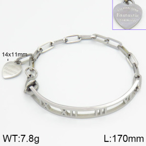 Stainless Steel Bracelet  2B2000440bhva-201