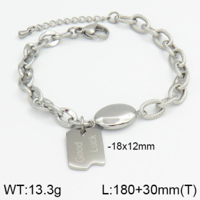 Stainless Steel Bracelet  2B2000483vbpb-201