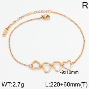 Stainless Steel Bracelet  2B2000491bhva-201