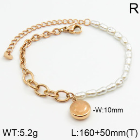 Stainless Steel Bracelet  2B3000374bhia-201