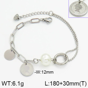 Stainless Steel Bracelet  2B3000375vbpb-201