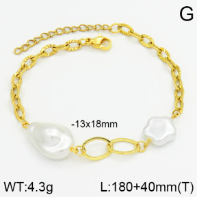 Stainless Steel Bracelet  2B3000377vhha-377