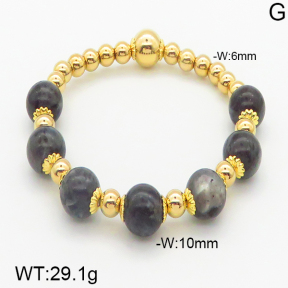 Stainless Steel Bracelet  5B4000680vbnl-464