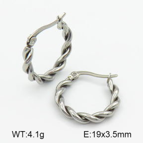 Stainless Steel Earrings  7E2000116vbmb-259